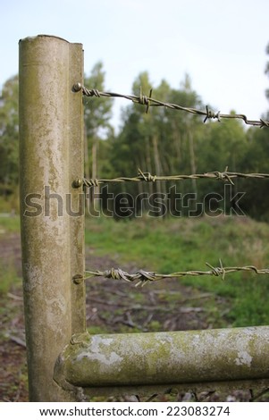 Old fence with barbed wire.