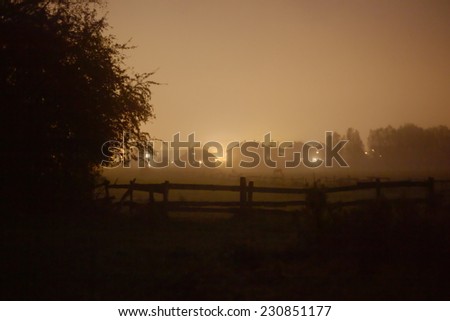 Rural suburb of Greifswald, Mecklenburg-Vorpommern, Germany, covered in fog and mist in the evening.