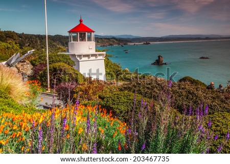 Memorial Lighthouse in Trinidad California, colorful flowers view and colorful bay