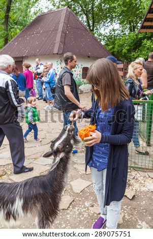 Kyiv - May 17: Zoo visitor feeds a goat in a zoo, May 17, 2015, Kyiv, Ukraine