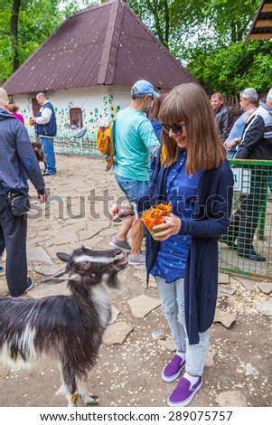 Kyiv - May 17: Zoo visitor feeds a goat in a zoo, May 17, 2015, Kyiv, Ukraine