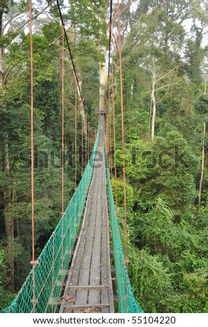 Danum Valley Borneo