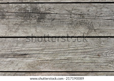 Texture of natural wood use as natural background