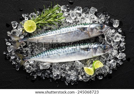 Fresh fish on ice on a black stone table top view