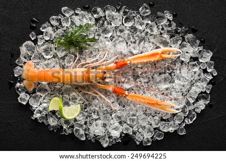Fresh scampi shrimp on ice on a black stone table top view