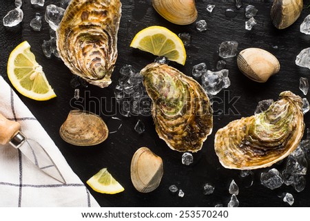 Fresh oysters and clams on a black stone plate top view