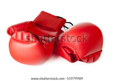 Karate Gloves