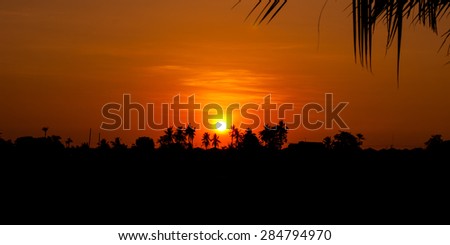 Sunset in tropical area with silhouettes of a palm trees