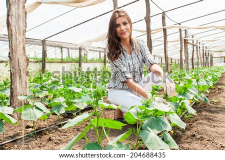 Agriculture farm woman worker in greenhouse.