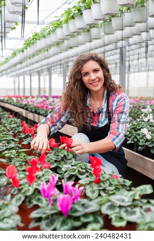 Florists woman working with flowers in a greenhouse.