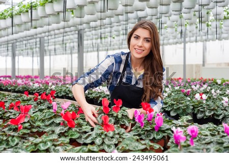 Florists woman working with flowers in a greenhouse.