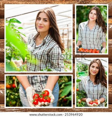 Gardening. People workers in greenhouse. Gardening theme or collage. Collection of garden images