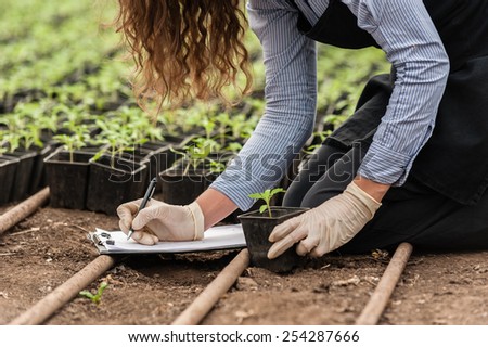 Biotechnology woman engineer with a clipboard and pen examining a plant  for disease!