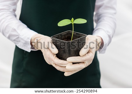 Portrait of a young researcher technician woman in greenhouse,in uniform and seedling pot in her hand. Food production.