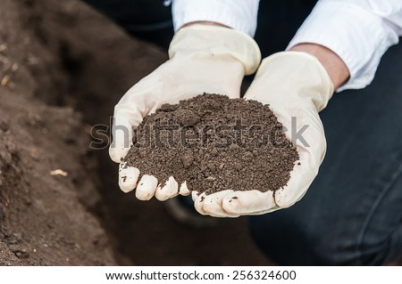 Close-up of a young researcher technician woman hands in greenhouse,in uniform, holding soil . Bio food production.