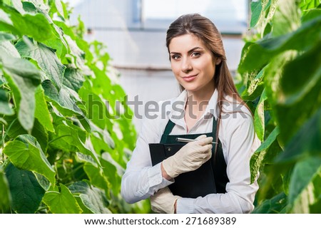 Portrait of a young woman at work in greenhouse,in uniform and clipboard in her hand . Greenhouse produce. Food production. Tomato growing in greenhouse.