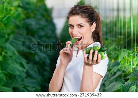 Happy Young woman holding and eating cucumbers in a hothouse cultivated with green fresh cucumber plants.