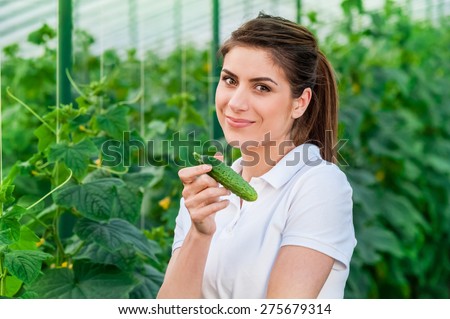 Happy Young woman holding cucumbers in a hothouse cultivated with green fresh cucumber plants.