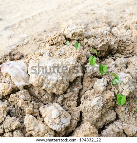 soil texture, brown ground soil with green ivy