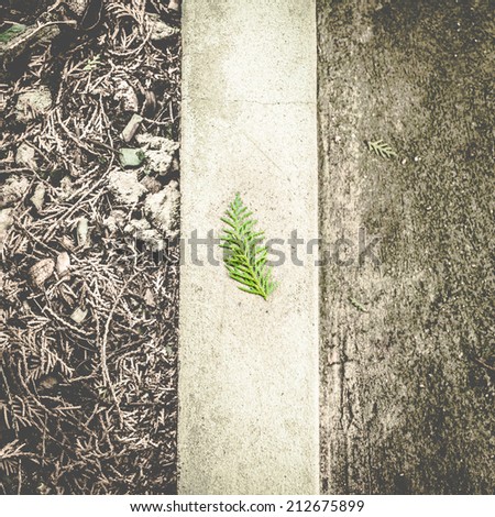 Vintage filter, Pine leaf falling on concrete block