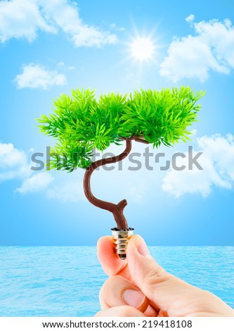 hand holding tree growing on light bulb with sun burst and light blue sky with cloud and water,eco concept,eco power