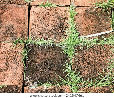 grunge orange brick block with grass growth between cleft of brick block