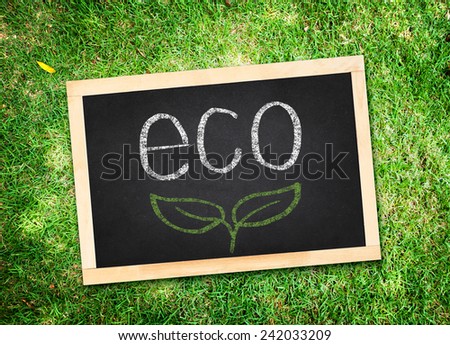 Top view of eco word with Chalk writing on blackboard on green grass, Eco concept
