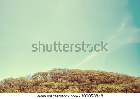 Vintage filter,Top of mountain with clear blue sky,Leave space for your content.