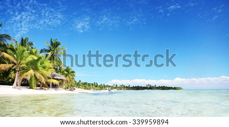 Landscape of paradise tropical island beach with perfect sunny, Saona island, Dominican Republic