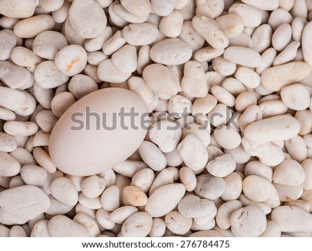 an egg and white gravel
