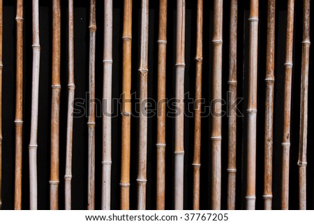 Yellow/brown dry bamboo wall closeup, Kobe, Japan