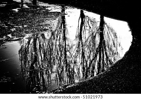 Tree reflected in the water. Monochrome black-and-white photo.