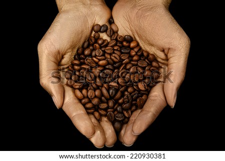 Roasted coffee beans in woman golden hands on black background