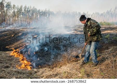 BOYARKA, UKRAINE - 26 MAR 2015: Firefighter in forest fire. It was controlled forest fire or prescribed burning using low intensity surface fire for promoting reforestation in the mature pine stand