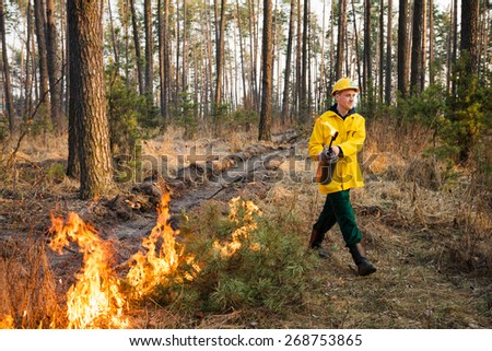 BOYARKA, UKRAINE - 26 MAR 2015: Firefighter in forest fire. It was controlled forest fire or prescribed burning using low intensity surface fire for promoting reforestation in the mature pine stand