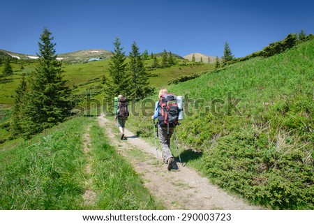 Young people hiking with sticks and backpack in the beautiful mountains landscape