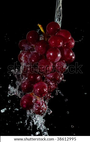The bunch of grape in the water splashes. Isolated on black.