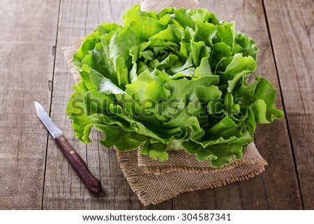 Single organic butter lettuce head over wooden rustic background