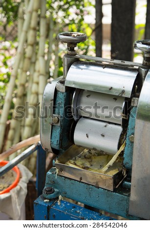 making a fresh cane juice with  sugar cane press roller