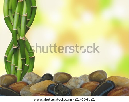 Bamboo and Zen rocks with Bokeh background
