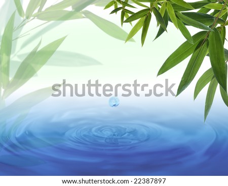 Water drop falling from a bamboo leaf
