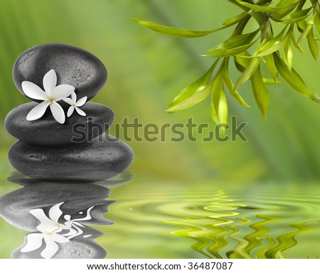 Spa still life, with white flowers on black stones and bamboo leafs in the water