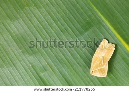 Banana leaf and Thai classical caramel chewing candy packaging made from natural leaf  use for Thai traditional product packaging  to represent the basic idea of food containing material.