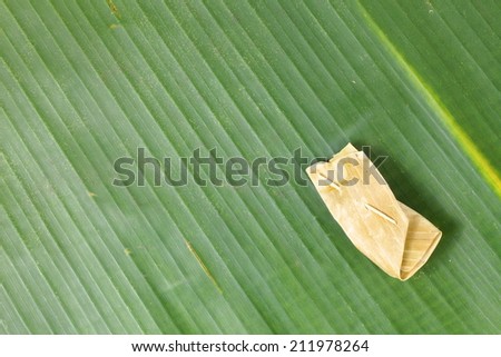 Banana leaf and Thai classical caramel chewing candy packaging made from natural leaf  use for Thai traditional product packaging  to represent the basic idea of food containing material.