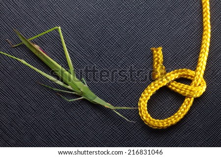Gold color rope cable with green color grasshopper  put on the black color artificial leather background.