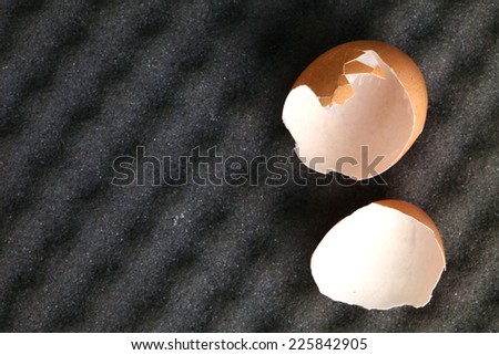 Broken egg put on the grey color sponge represent the broken egg shell still broke from a good protection