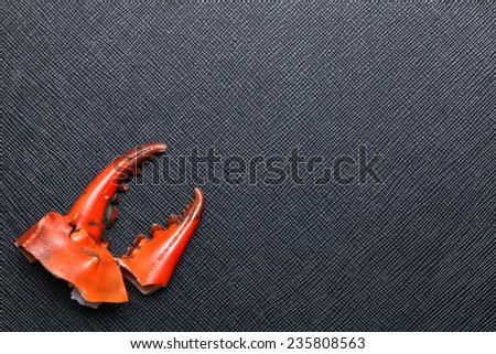 The claws of the crab with orange color put on the black color leather surface background  represent the crab body part and food left over meaning.
