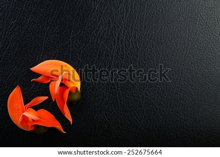 Orange color flower put on the black color leather surface background represent the flora shape pattern idea and concept related.