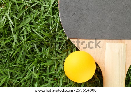 Table tennis ball orange color with racket or paddle put on grass background represent the sport accessory material related.