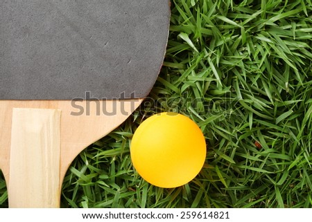 Table tennis ball orange color with racket or paddle put on grass background represent the sport accessory material related.